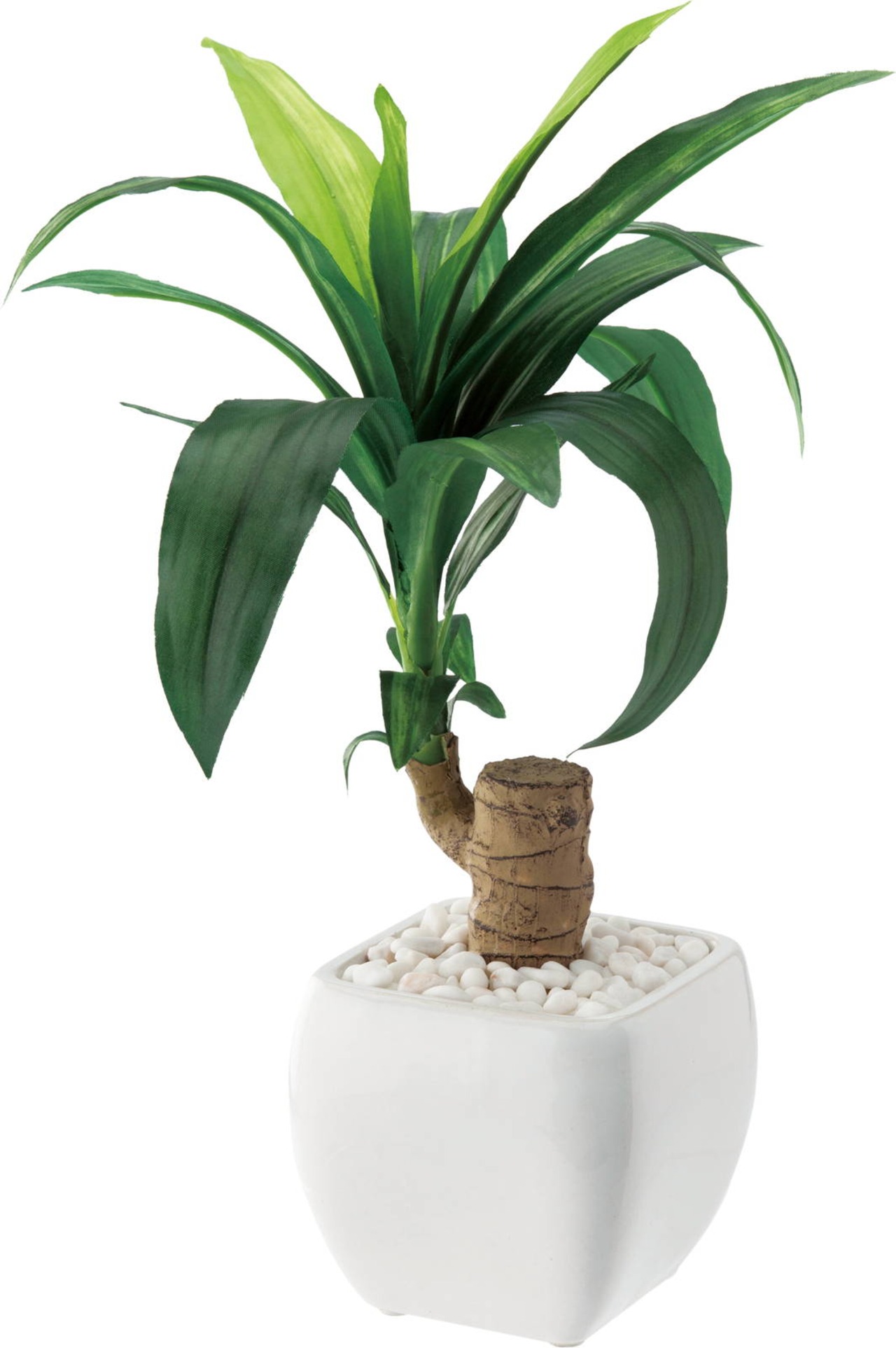 ドラセナポット　　GLA-1225　4961823622809　造花（アーティフィシャルフラワー） > 観葉植物