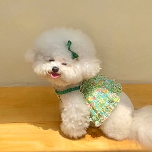 【PET】カントリー風小花柄リボン付きストラップワンピース