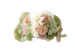 萌-moe-　花振-HANAFURI-（Natural Style）