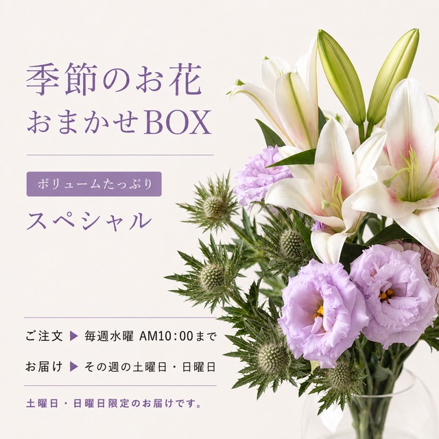季節のお花 おまかせBOX《スペシャル》｜月替わりの切り花・生花セット〈フラワーロス削減〉