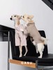 GASU Moi / [6 Colors] Cuttable 2-Sided Lazy Dog Tee