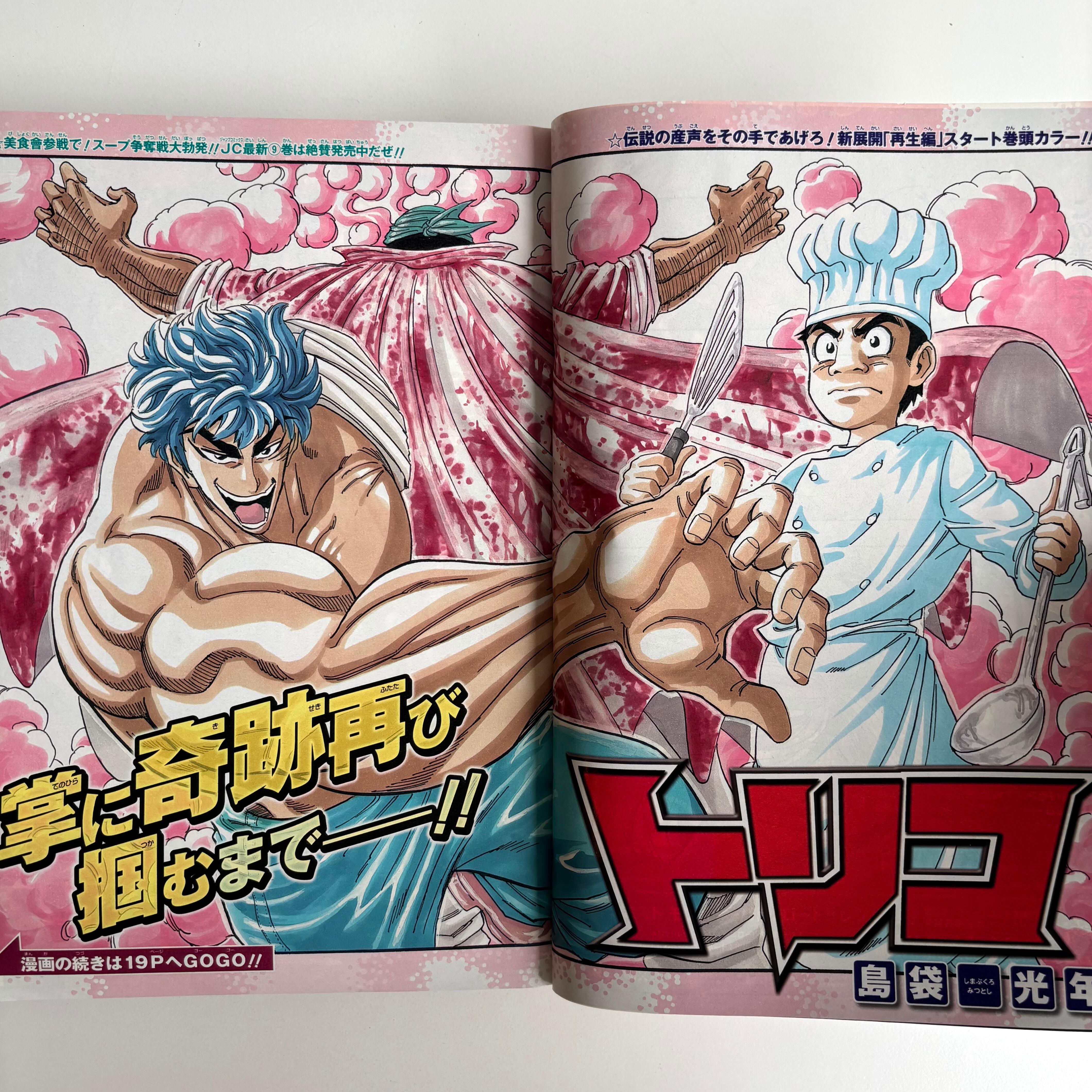 週刊少年ジャンプ 2010年 23号 集英社 表紙 NARUTO 巻頭カラー トリコ