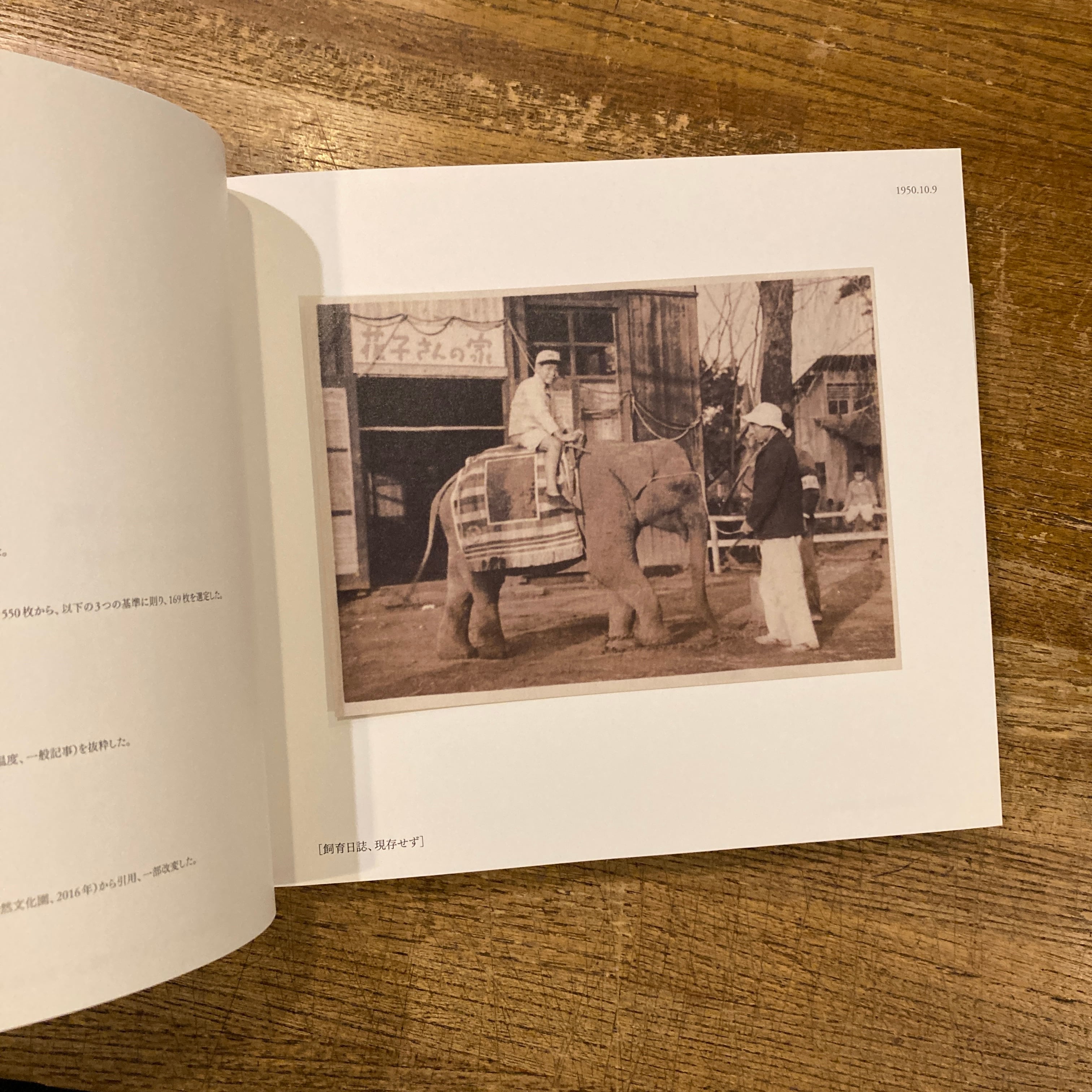 はな子のいる風景 イメージを（ひっ）くりかえす | 百年