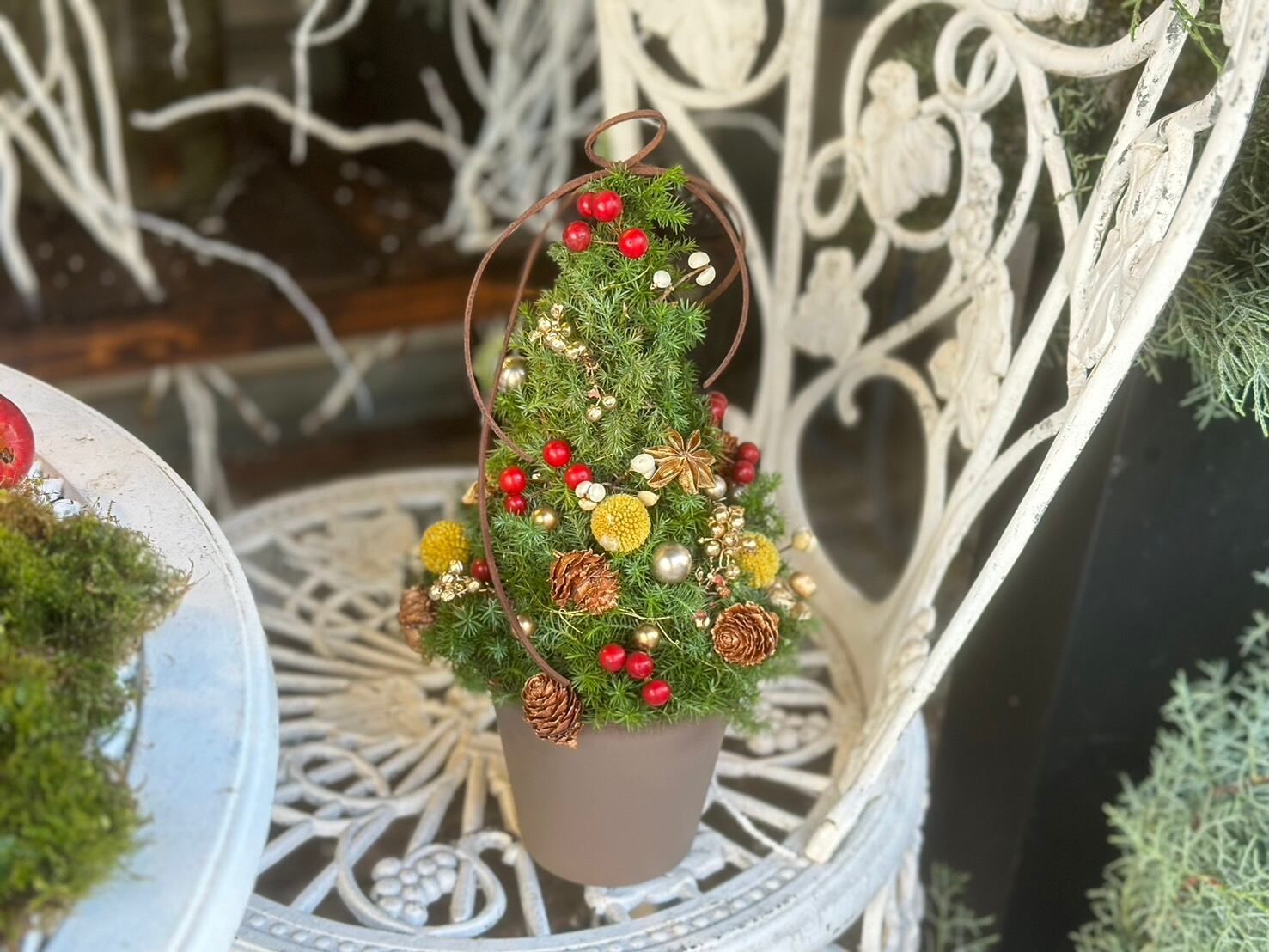 おまかせ フレッシュクリスマスツリー C