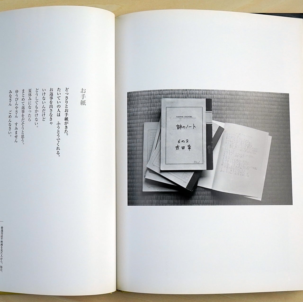 細江英公人間写真集 おかあさんのばか 写真・細江英公 / 被写体と詩
