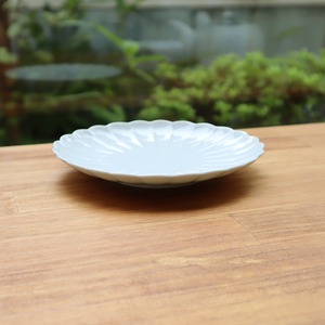 【アウトレット】有田焼　太白菊割５寸皿（Tsuya） 99-188