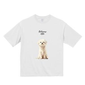 ボロニーズ　ビックシルエットTシャツ