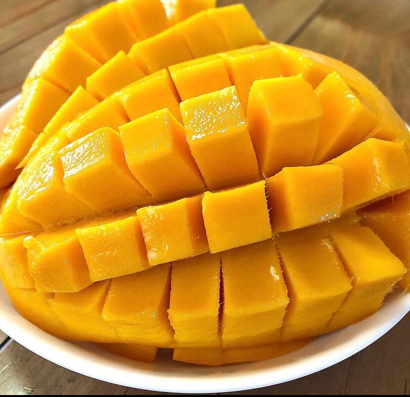 マンゴー苗10号品種名無し黄色い美味しいマンゴー