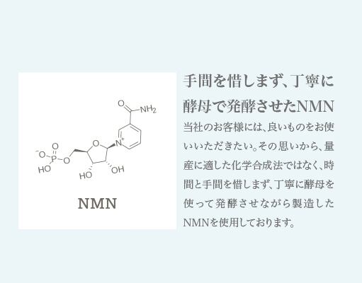 NMN Rita-Sirtuin9000 単品1箱