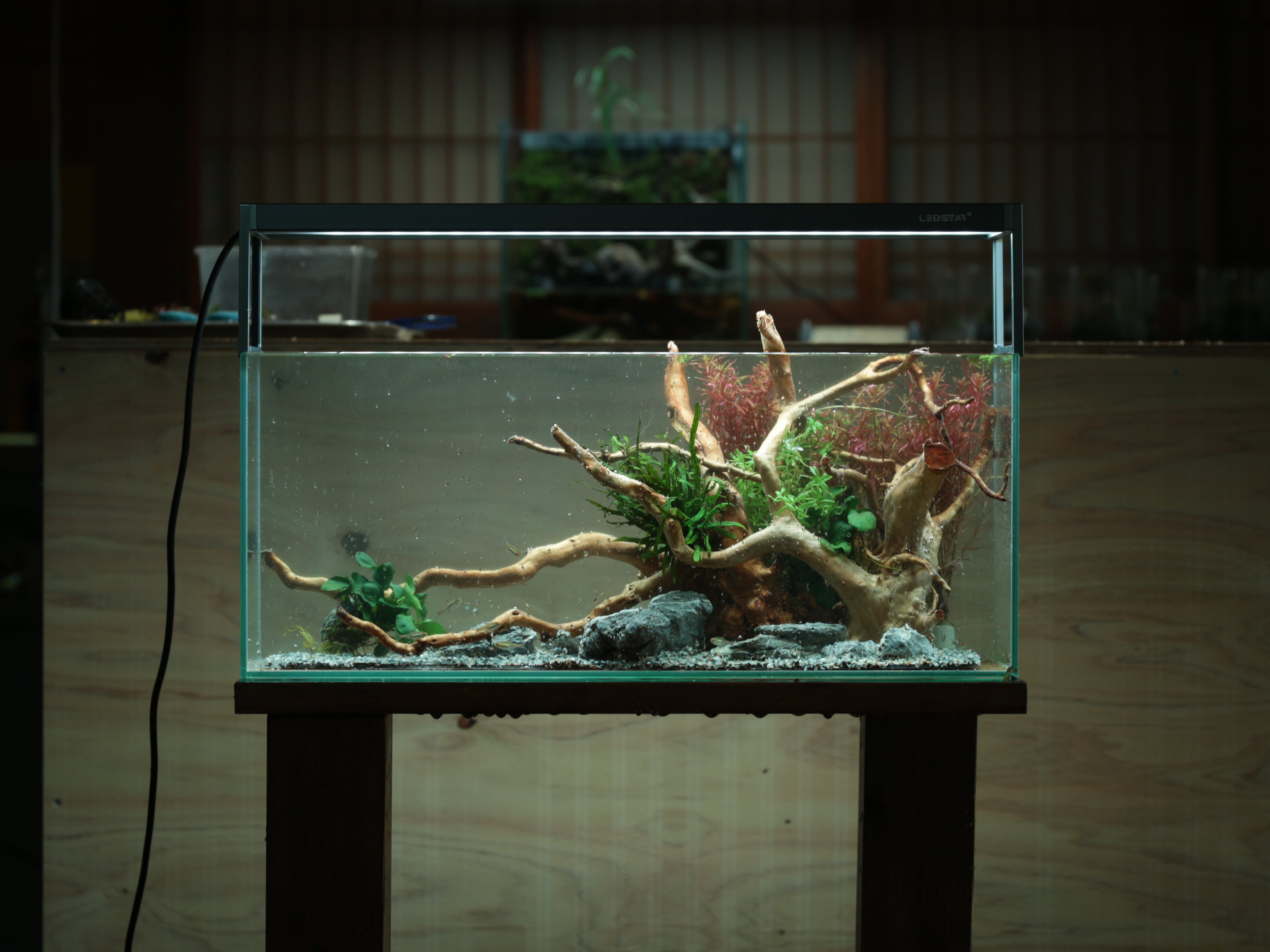 水槽屋oAsis