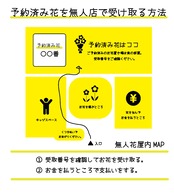 【来店専用商品】縁起しゃいこう新潟県産コシヒカリ装備の藁亀様〆飾り2026