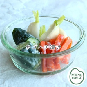 福島の伝統発酵食品【358サゴハチ】麹 10袋セット 植物性乳酸菌で簡単漬物＆調味料に