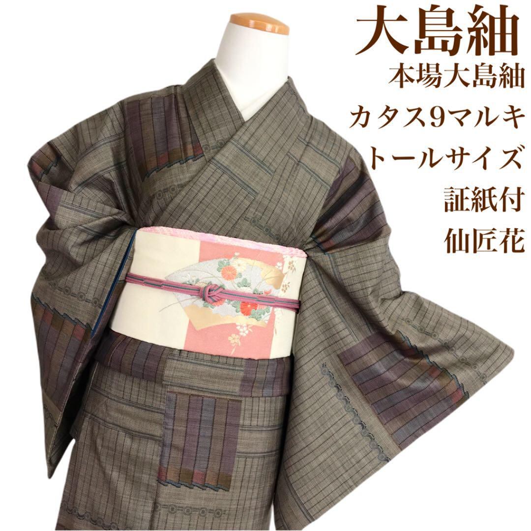 2116 本場泥大島紬 伝統工芸証紙付 蝶花絵皿模様 カタス式9マルキ