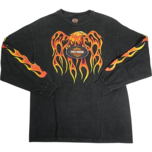 90's A.B.A.T.E. of IOWA 袖フレイムス プリント ロンT 長袖Tシャツ XL