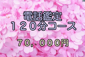 電話鑑定１２０分コース(2024年1月1日〜)