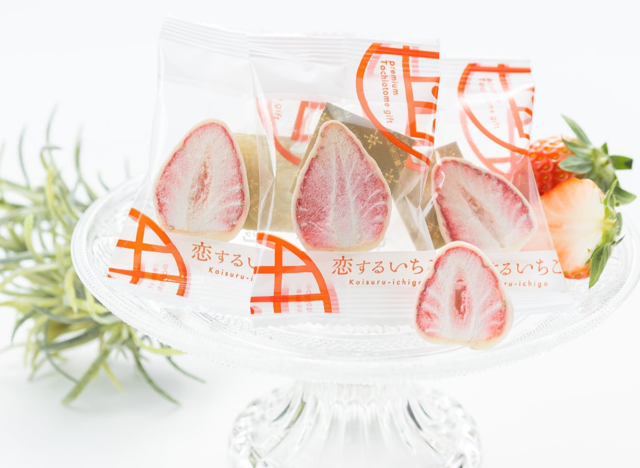 苺　　おまとめ２点 速報】いちご新聞 2025年 2月号 《特別付録》 いちご新聞50th