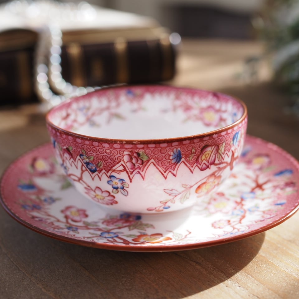 希少フランスアンティーク サルグミンヌ ミントン219 カップ＆ソーサー