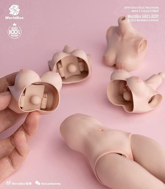 Tbmodel] Worldbox 1/6 フィギュア 女性 バスト 胸 交換パーツ