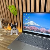 \ 公式ショップ限定価格❣️/ 準新品《2024年モデル》HP Laptop 14 メモリ16GB SSD512GB Core 5 120U ノートパソコン 安心サポート＆3ヶ月保証付き