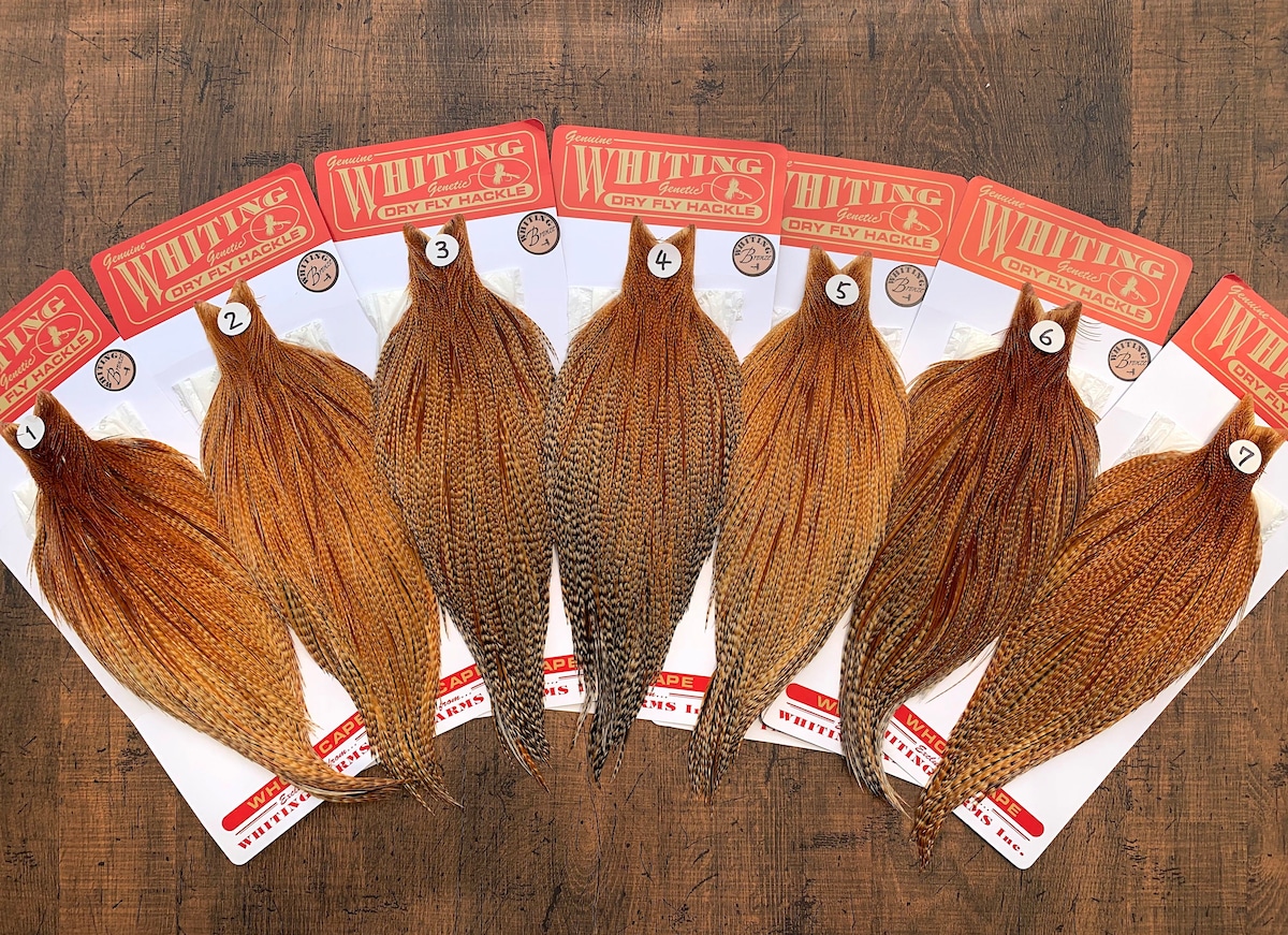 WHITING】Rooster Cape Dark Barred Ginger バードダークジンジャー 