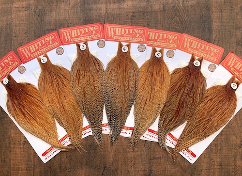 【WHITING】Rooster Cape  Dark Barred Ginger バードダークジンジャー　ブロンズG