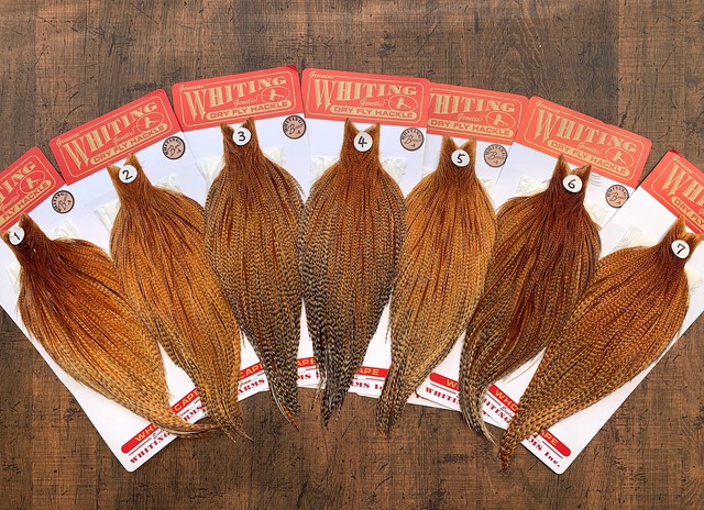 【WHITING】Rooster Cape  Dark Barred Ginger バードダークジンジャー　ブロンズG