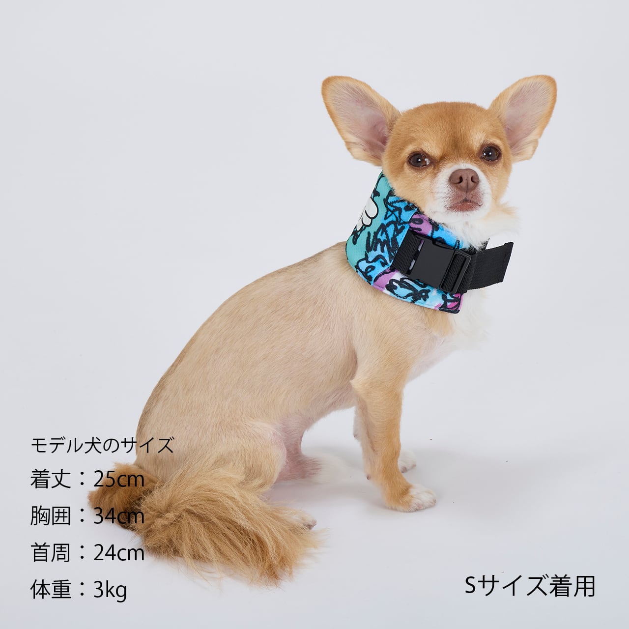 CCL NECK COOLER（S.M） | MANDARINE BROTHERS マンダリンブラザーズ