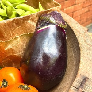 VEGETABLE WONDERLAND SET（Mセット/月1回コース）