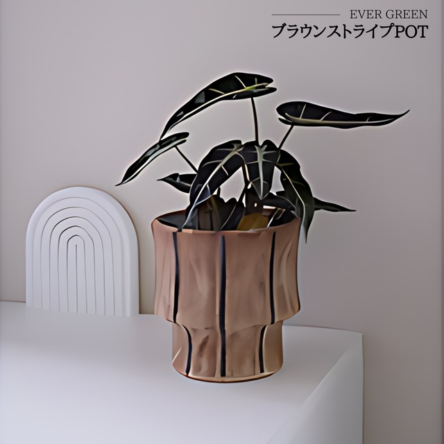 白竜のスケイルスPOT A145