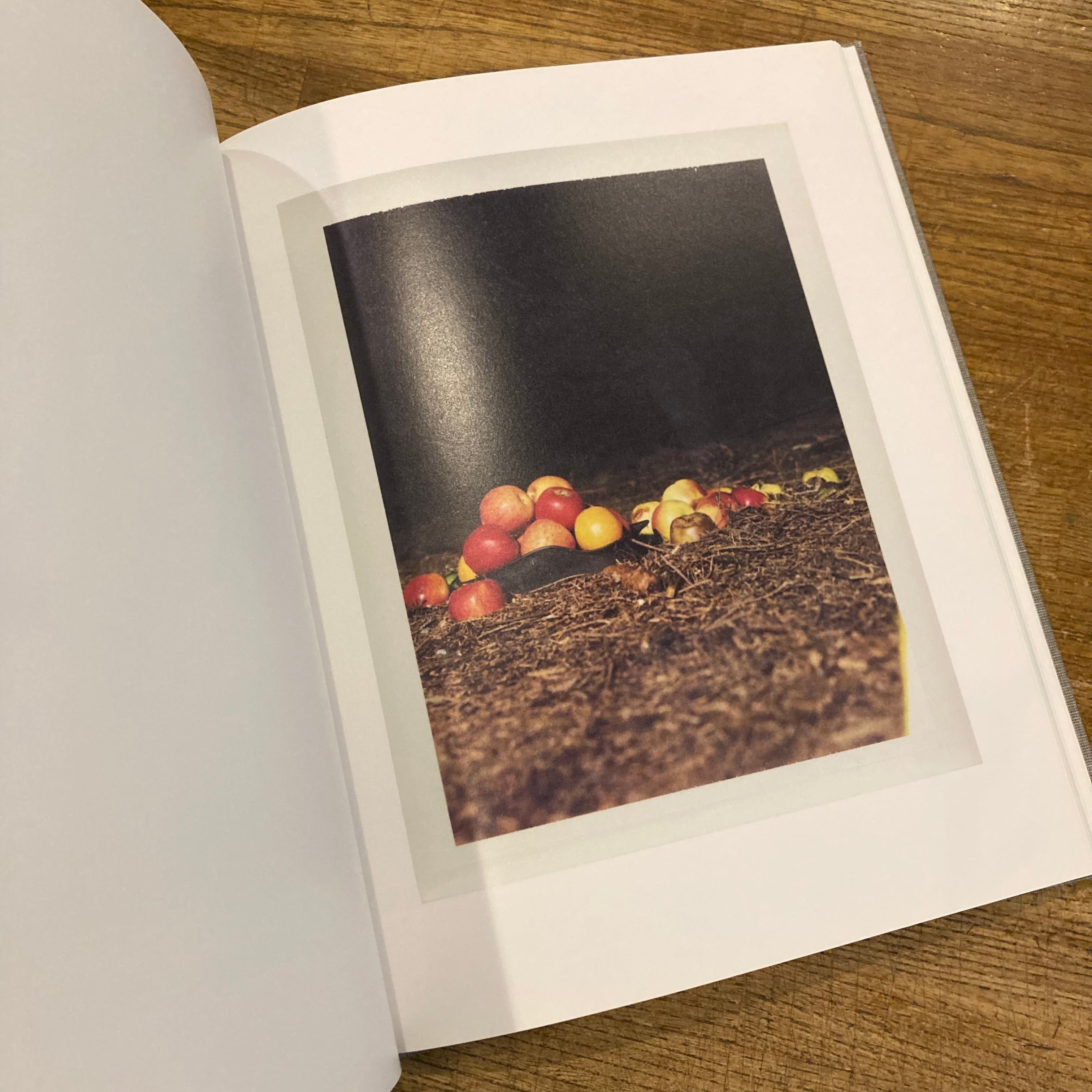 AUGUST / Collier Schorr | 百年