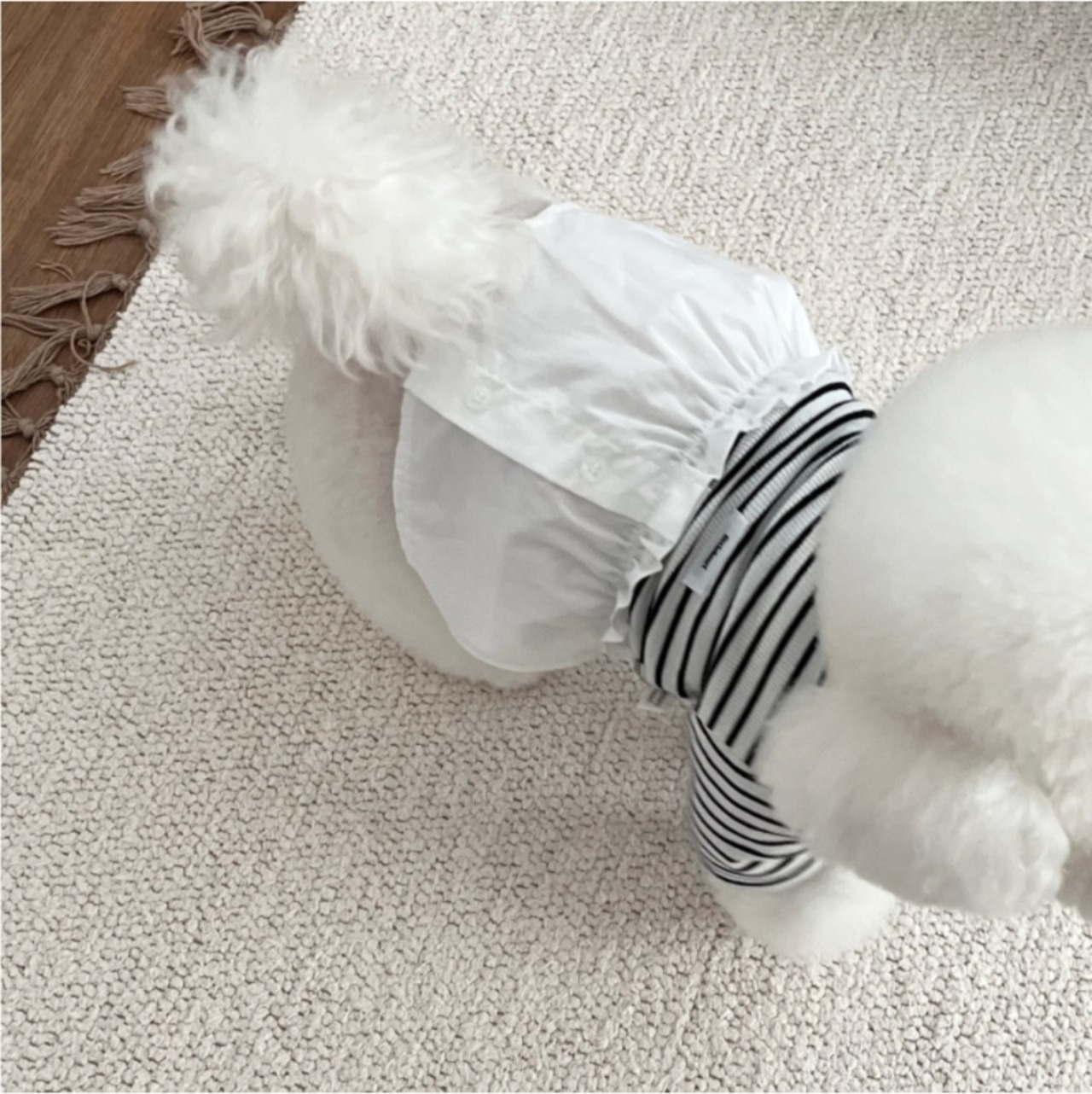 予約【pecoramou select】April Button Dangara / One Piece Type