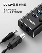 USB3.0ハブ 電源付き ROSONWAY 10ポート USBハブ アルミ製で アップ 5Gbps高速転送 セルフパワー USB拡張 独立スイッチ付 12V/3A ACアダプタ付き(RSH-A10)