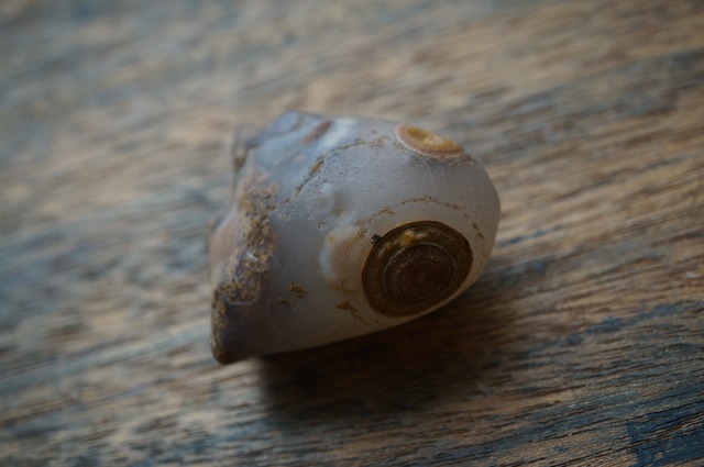 ゴビアゲート Gobi Agate 2383