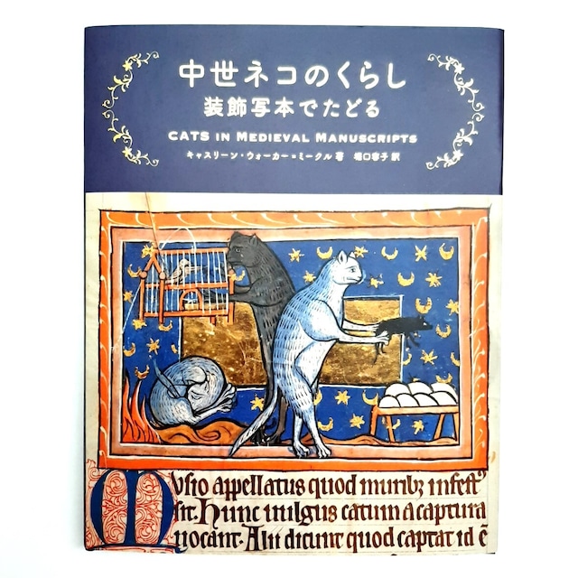 グスコーブドリの伝記――ますむらひろし賢治シリーズ③（扶桑社文庫）