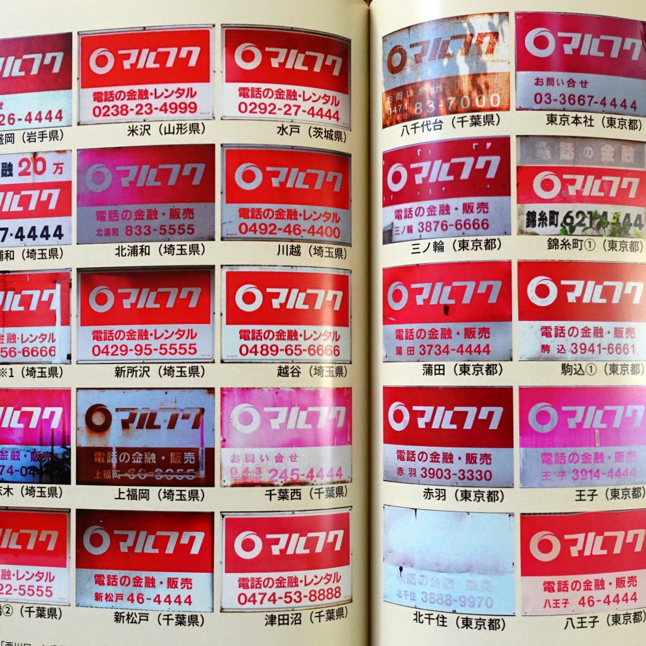 紅白看板マルわかり図鑑 hira | タイムカプセル