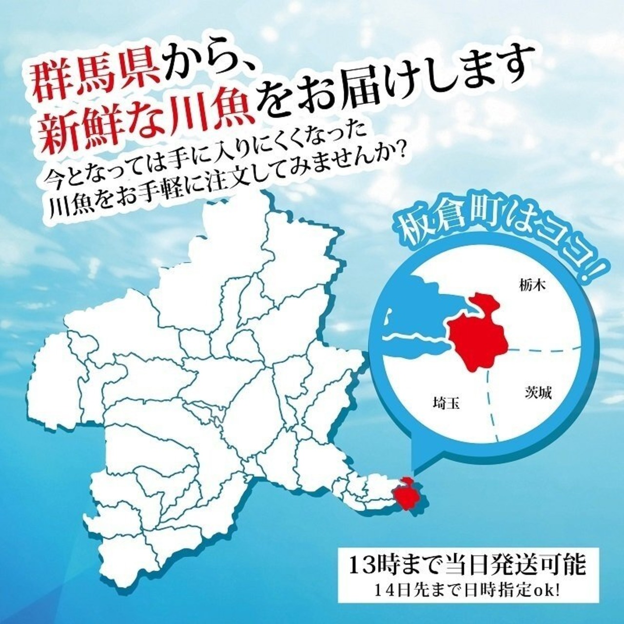 鯉のあらい　５０枚　2〜3人前　夕方5時作り翌日中お届け　(到着日当日消費期限品のため九州、沖縄地方、北海道は不可