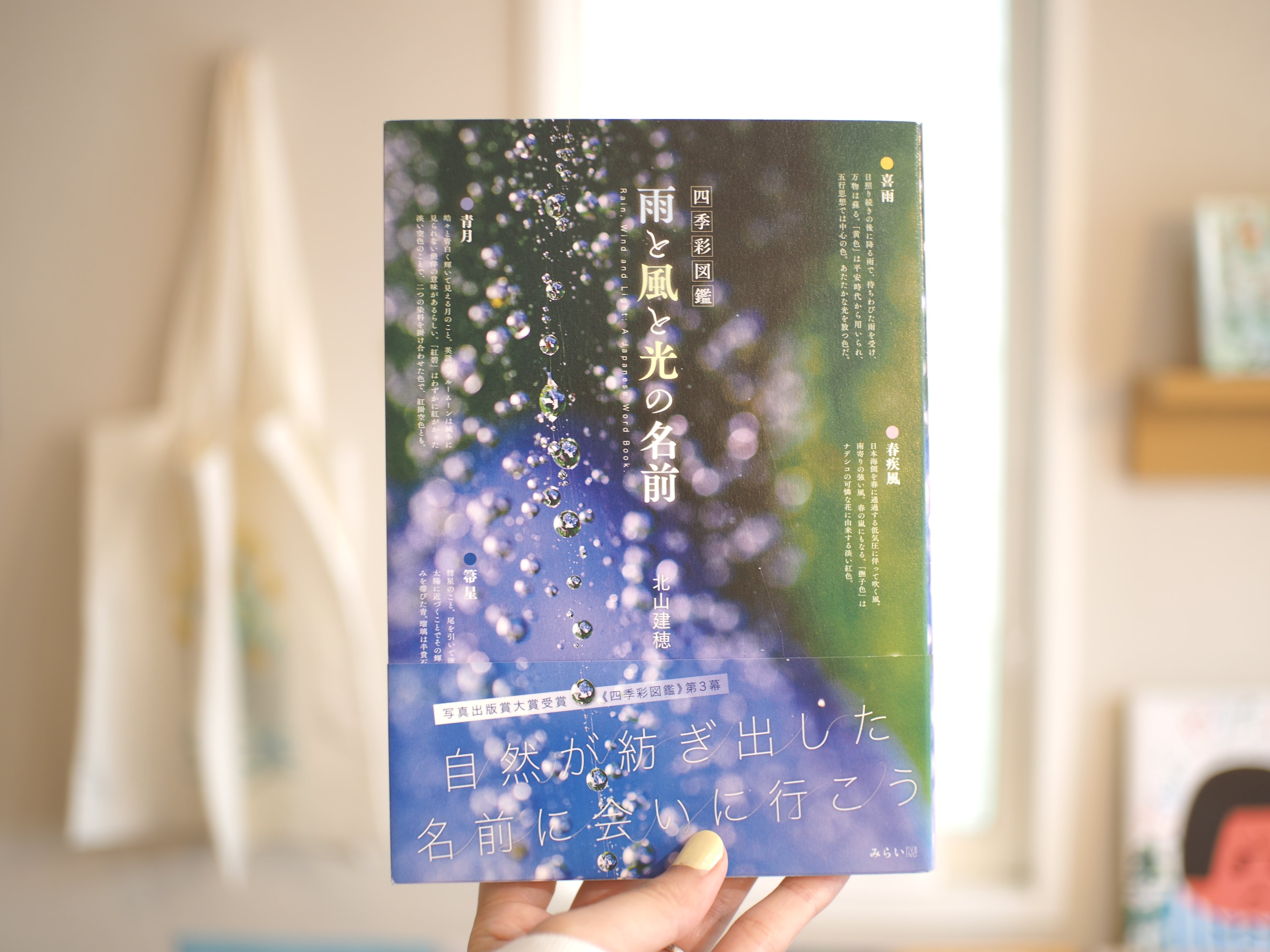 30日de源氏物語 / 三宅香帆 | 本屋ブーケ