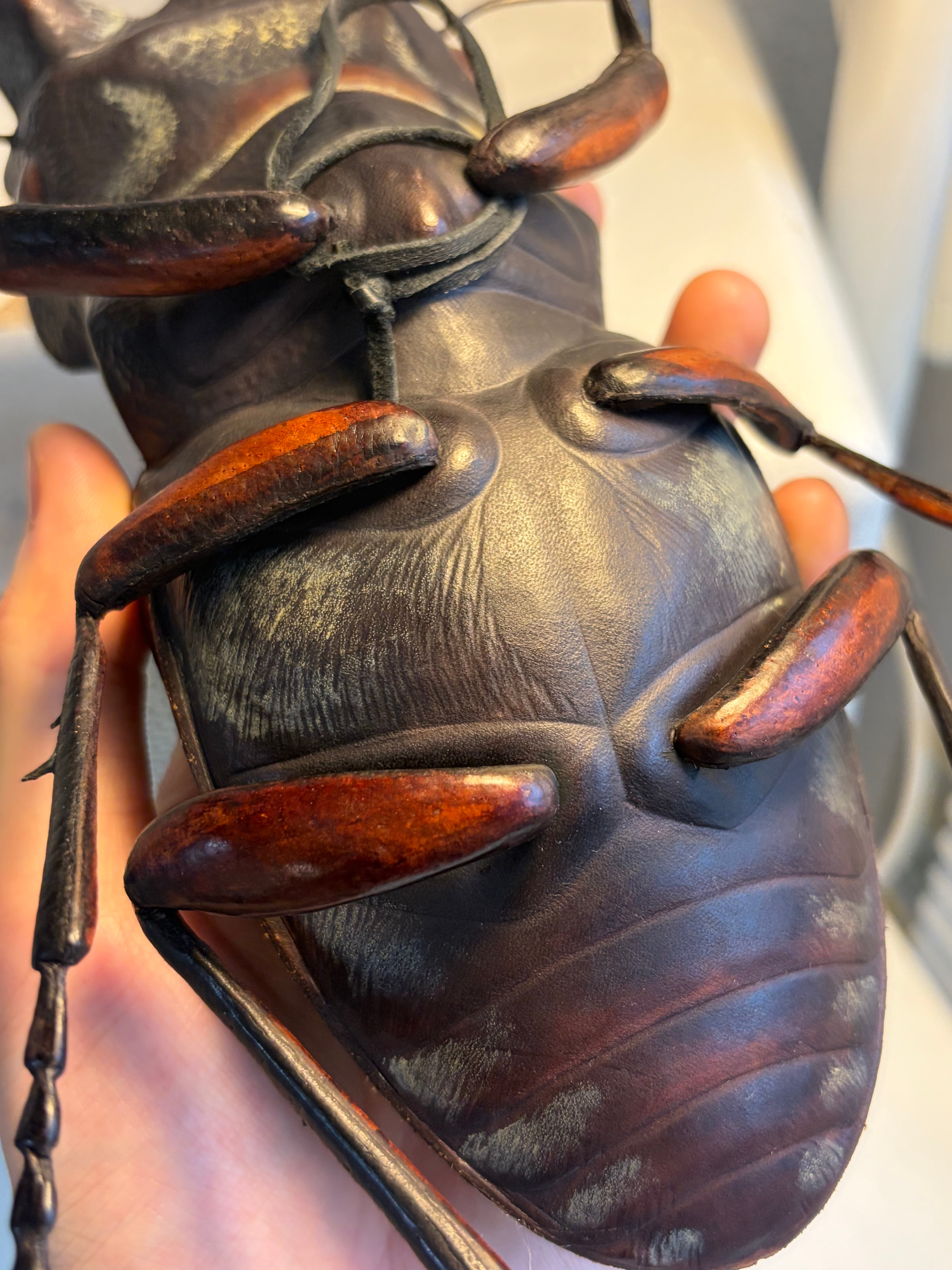 クワガタ (レザークラフト) 足先縦30cm、巾20cm 作者　河野 甲 クワガタ (レザークラフト) 足先縦30cm、巾20cm 作者 河野 甲