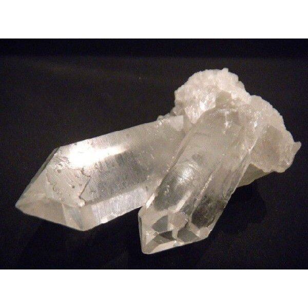 インカローズ／ペンギン | Pay ID