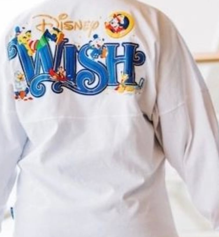 難あり‼️ DCL Wish限定スピリットジャージ | MMholic