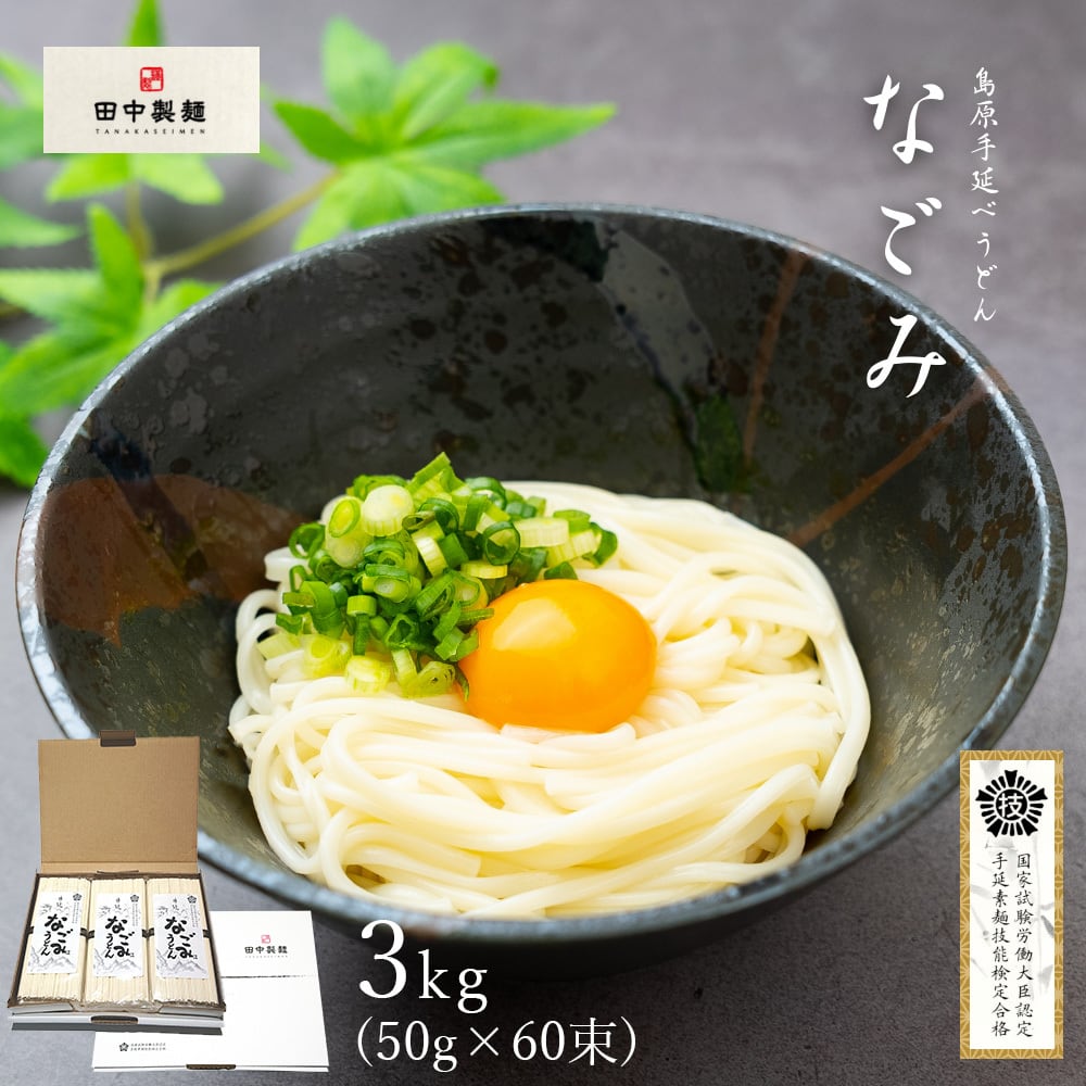 島原手延べうどん「なごみ」50g×60束 どっさり 計3kg 細麺 乾麺 【田中