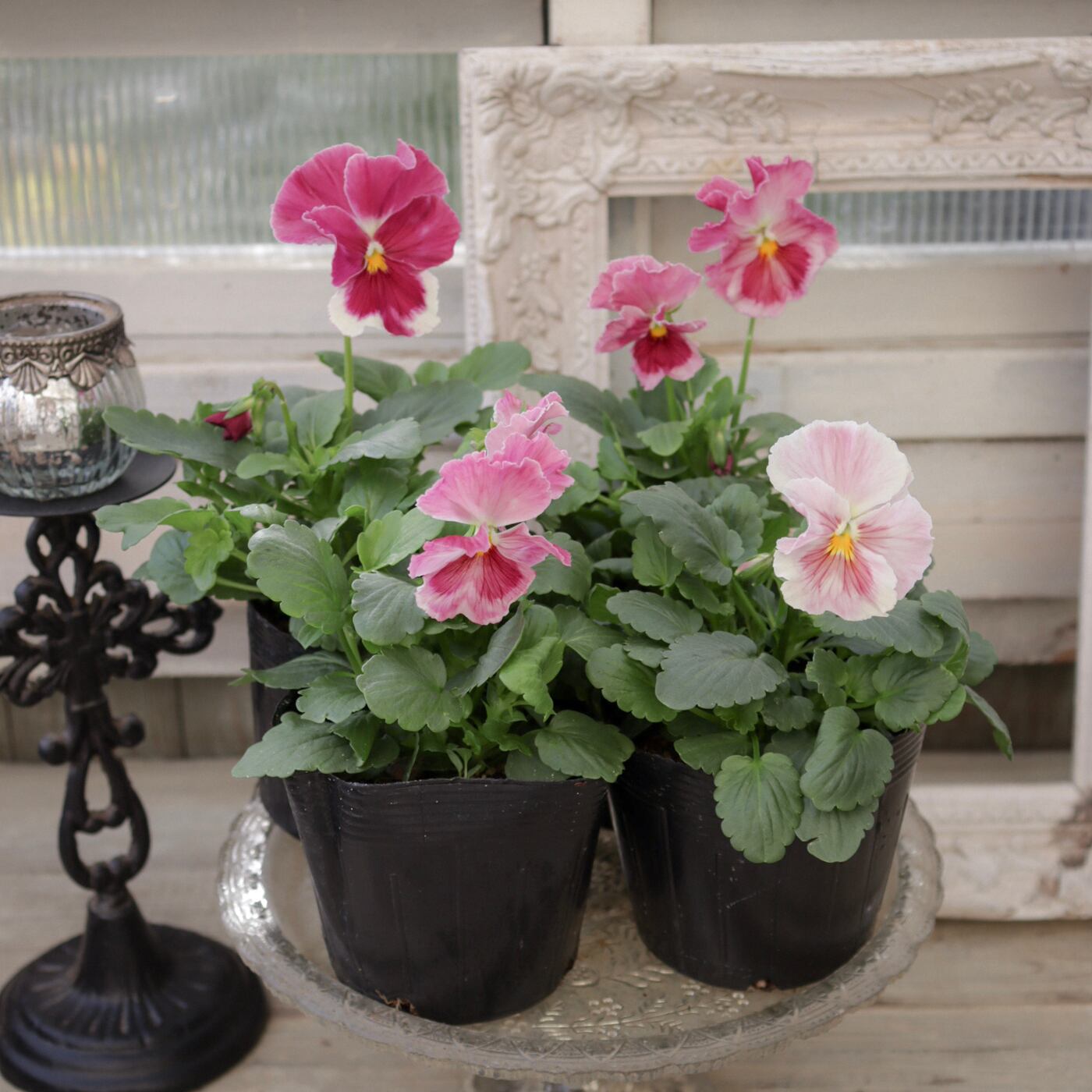 Green heartꕥオンラインショップ