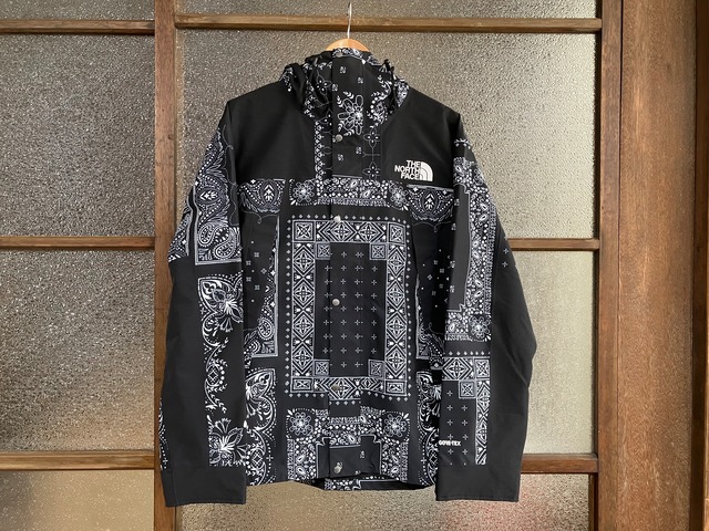 THE NORTH FACE NOVELTY GTX MOUNTAIN JACKET (RBK/REAL BLACK)