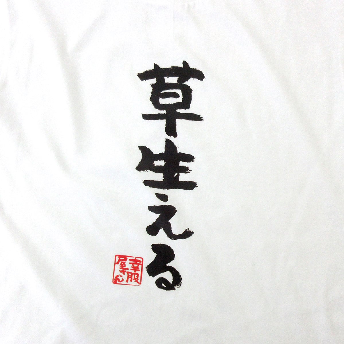 草生える ka300-48 メッセージTシャツ ひらなが おもしろTシャツ