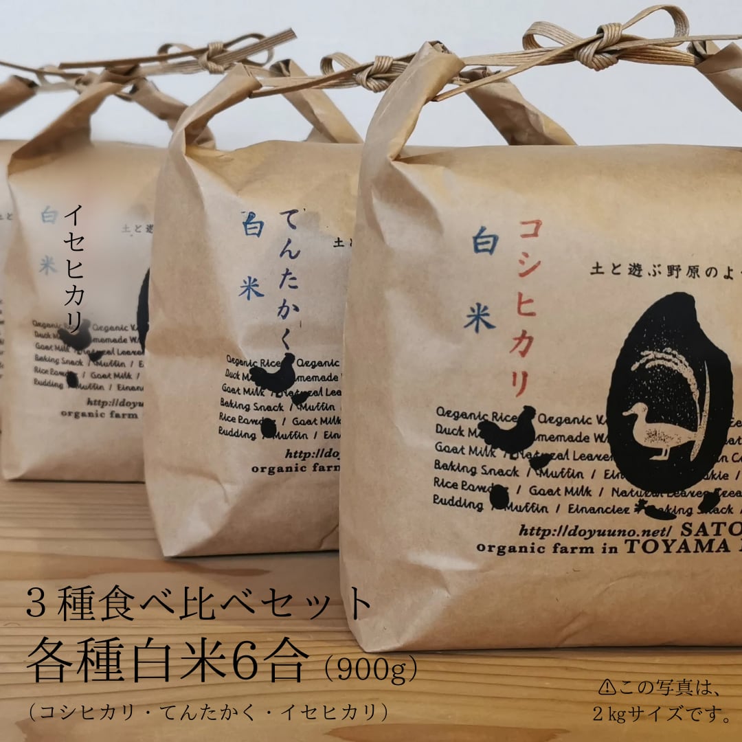 シカタ 20kg 中米 シカタ 20kg 中米 無農薬!自然栽培!農家直送!令和元年度佐賀県産