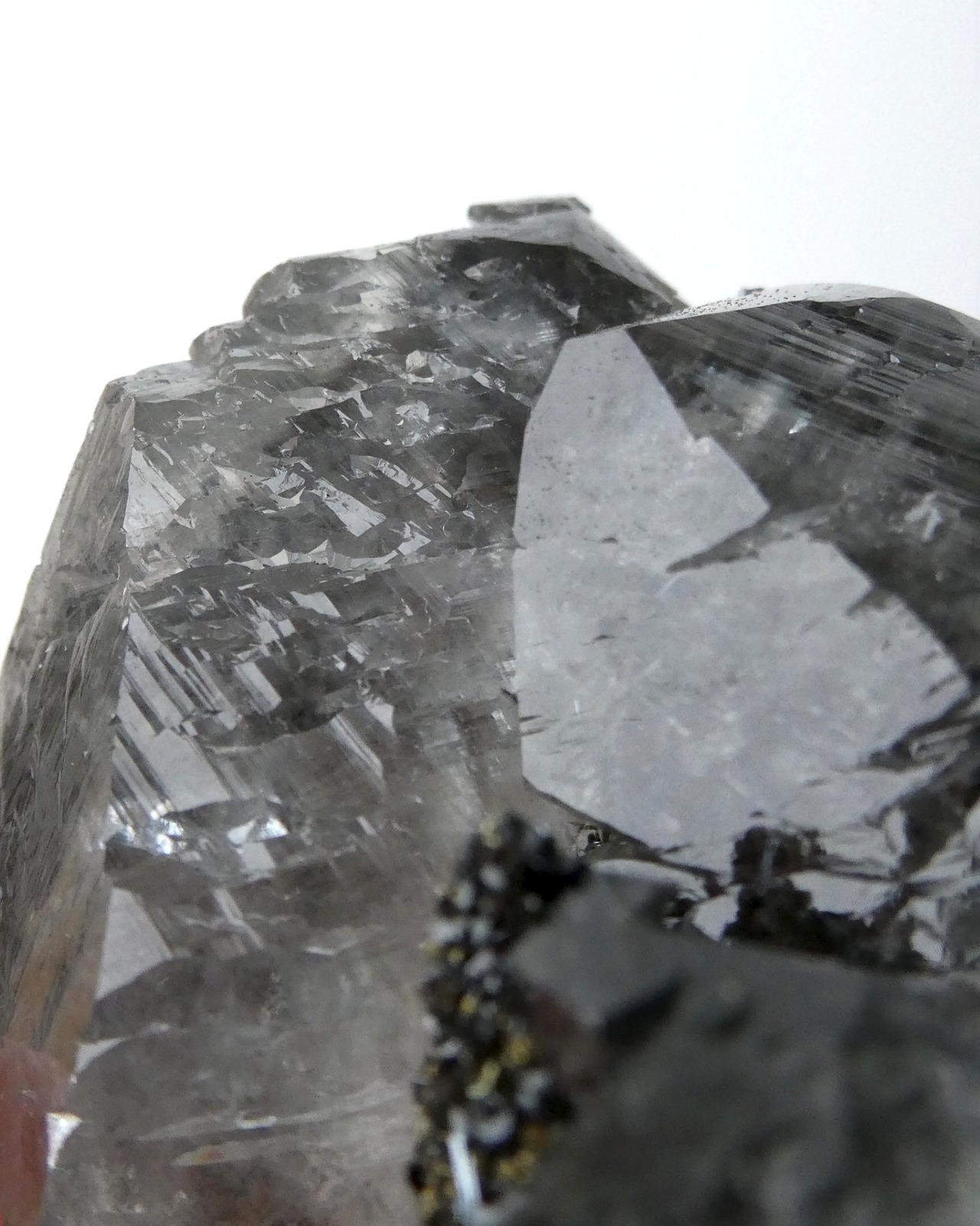 Black Diamond Calcite ブラックダイヤモンドカルサイト ⭓ 黒い侍 ⭔ MINERAL・原石＆鉱物