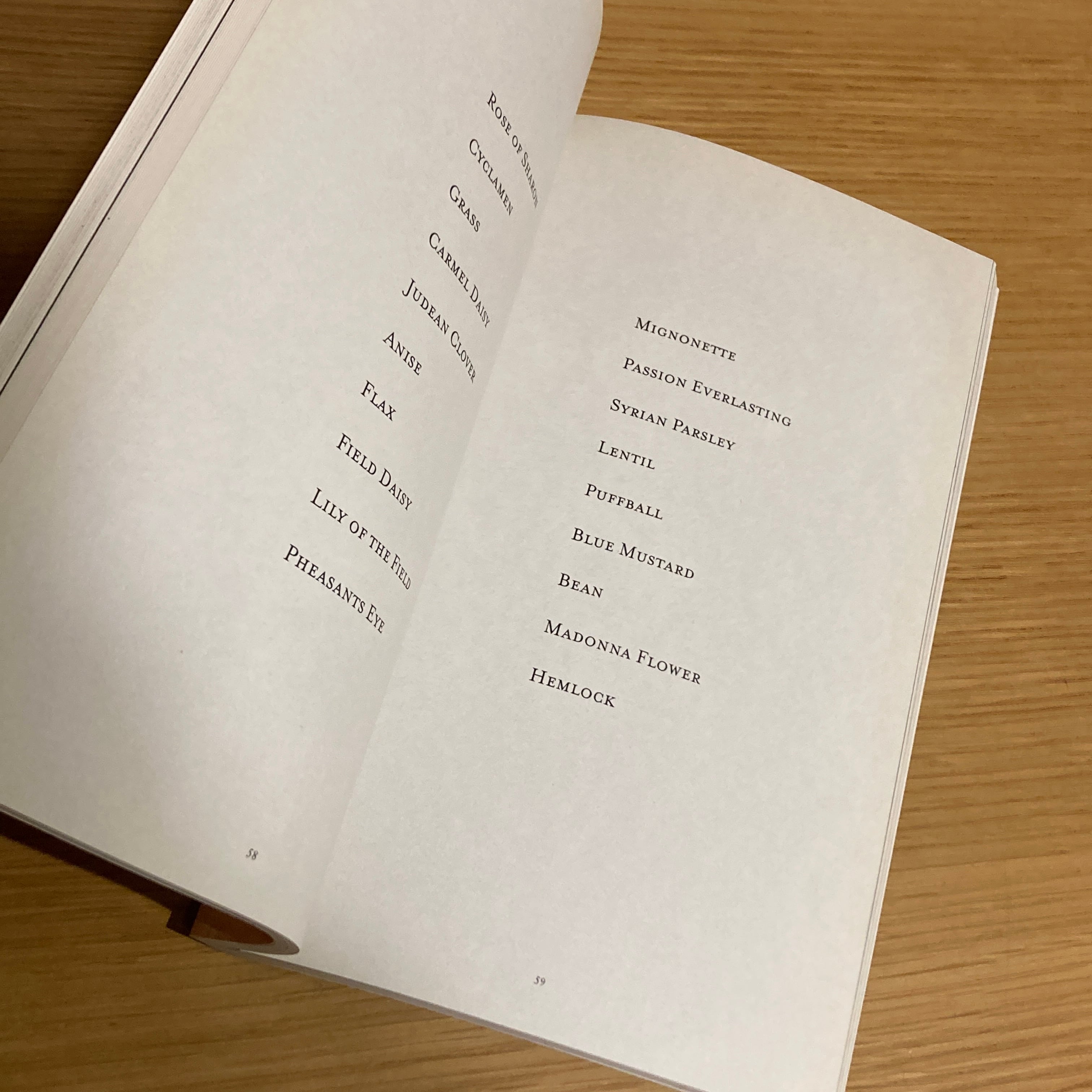 The Politics of Flowers / Terri Weifenbach | 百年