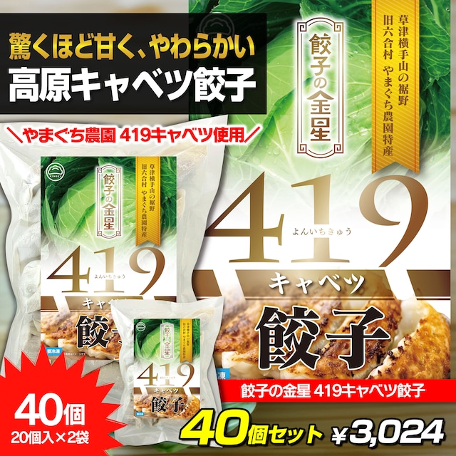 【2025年産 初物】餃子の金星 419キャベツ餃子 40個セット【冷凍】 標高1,100mで作る希少高原キャベツ
