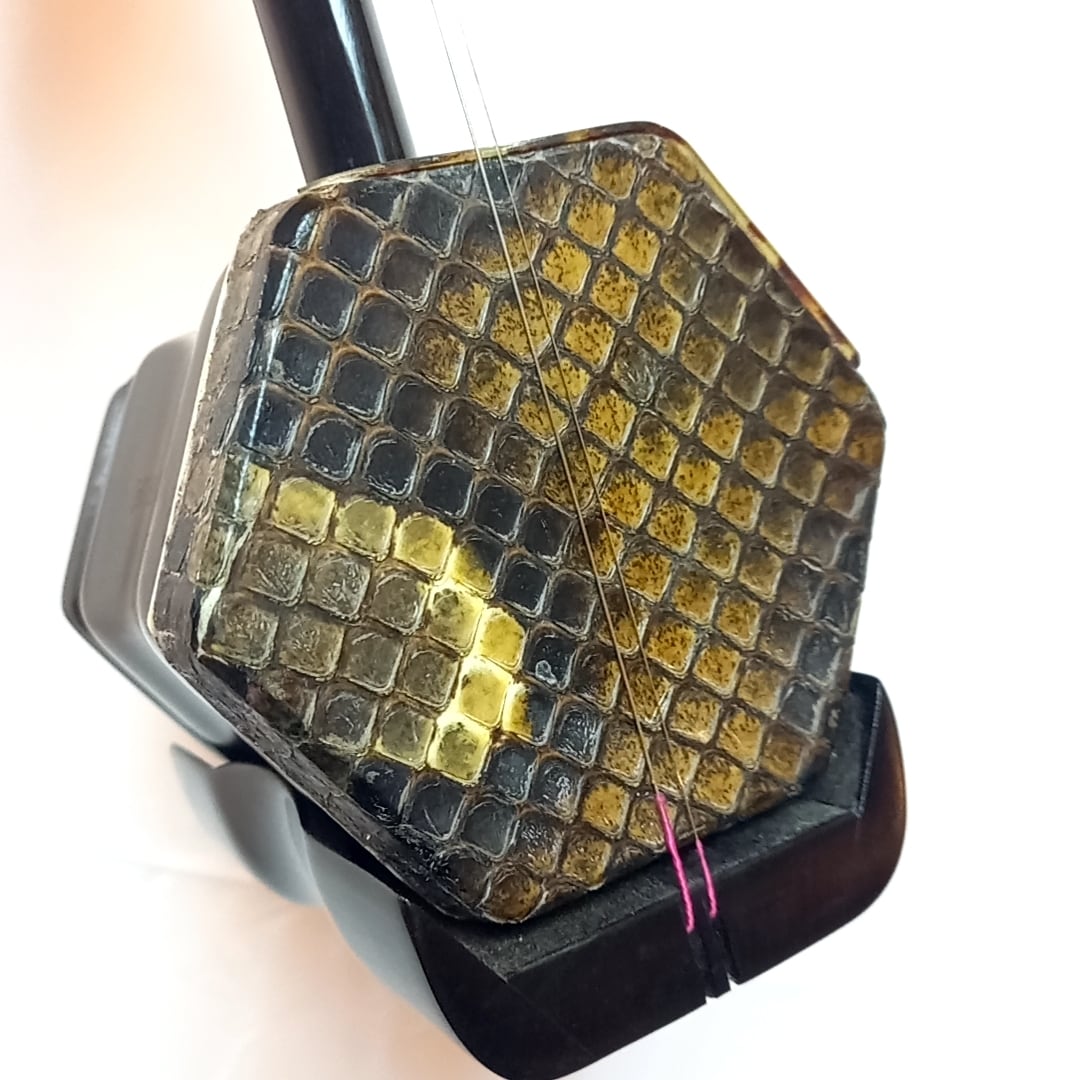 二胡姫アウトレット店