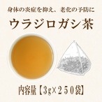 ウラジロガシ茶(徳島産)：3g×250袋